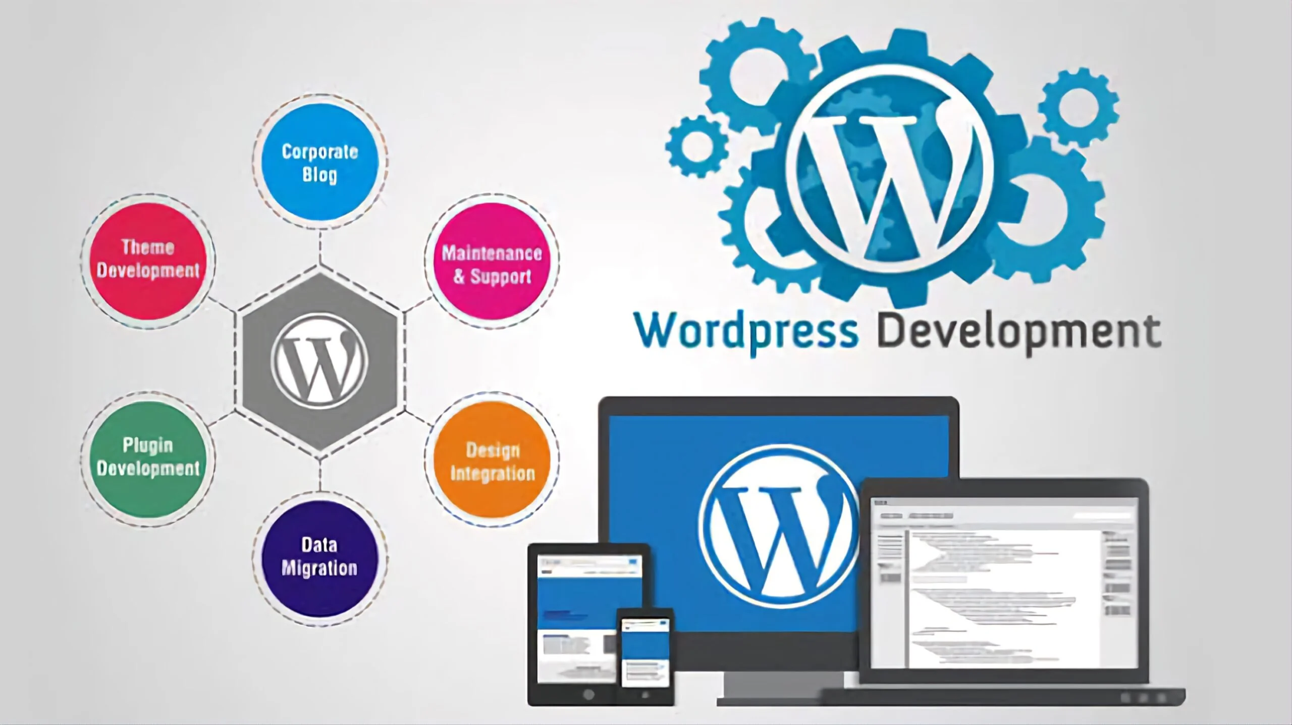 WordPress Website Development and CMS Services